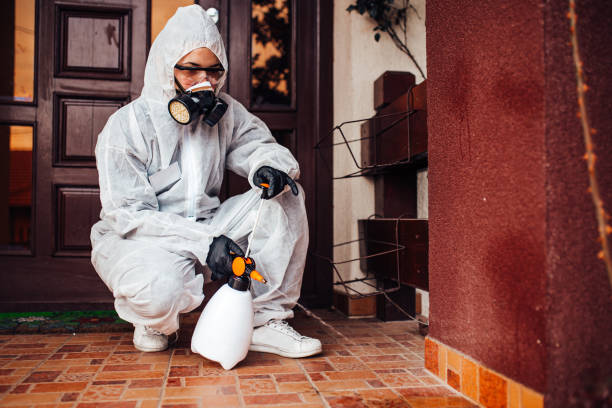 Attic and Crawl Space Rodent Treatment in Red Rock